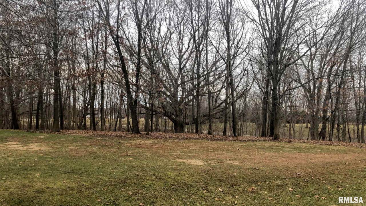 0 Maplewood Drive - Photo 1