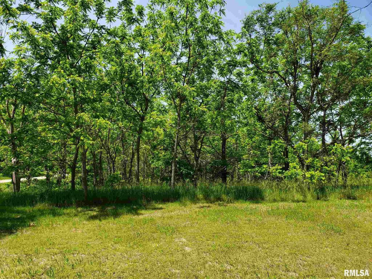 22525 1720 Street - Photo 1