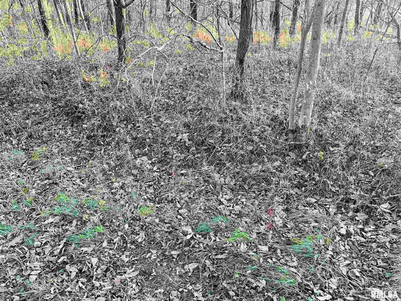 County Road 2400 Road - Photo 1