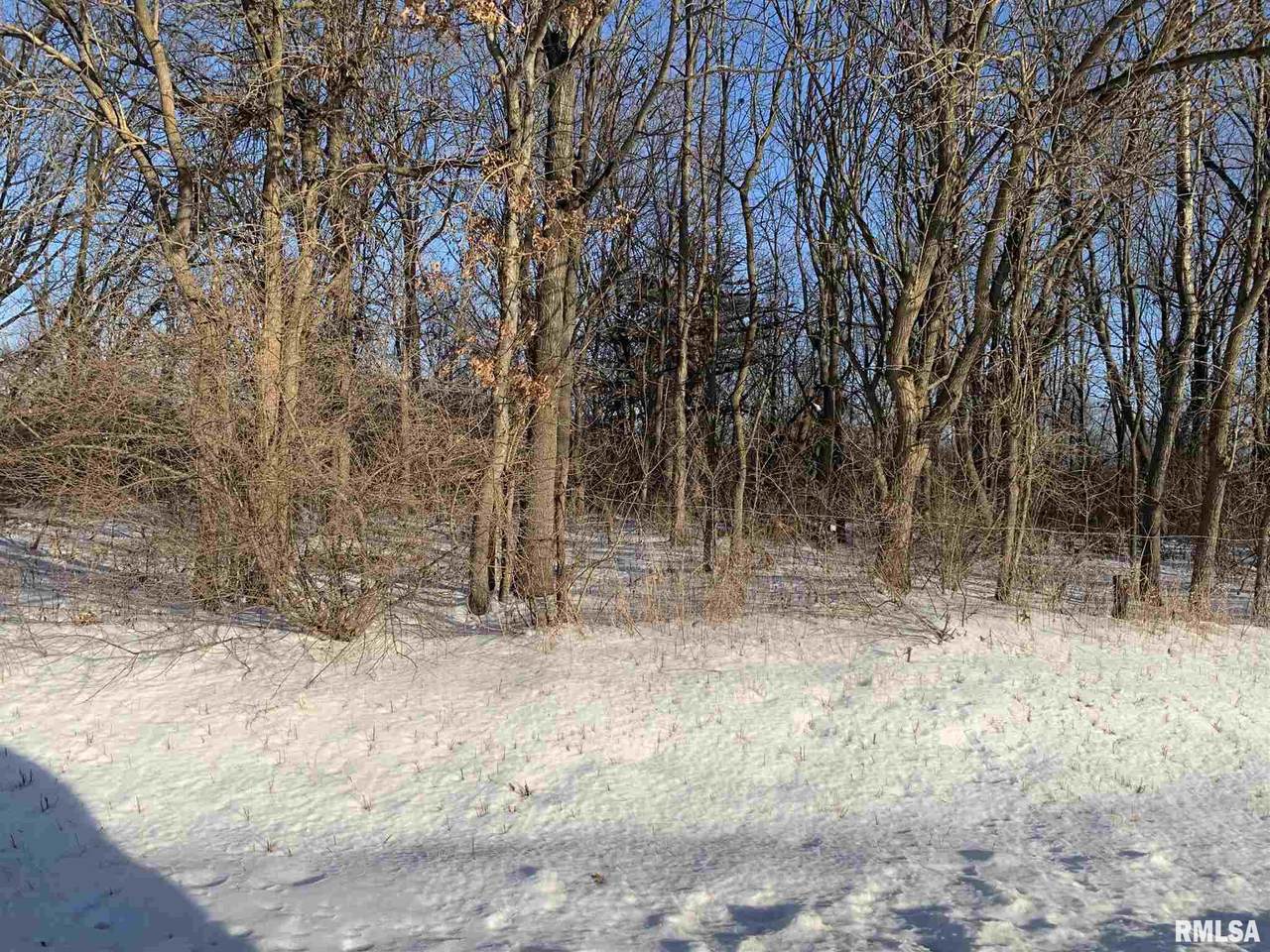 Lot 1 92ND Avenue West - Photo 1