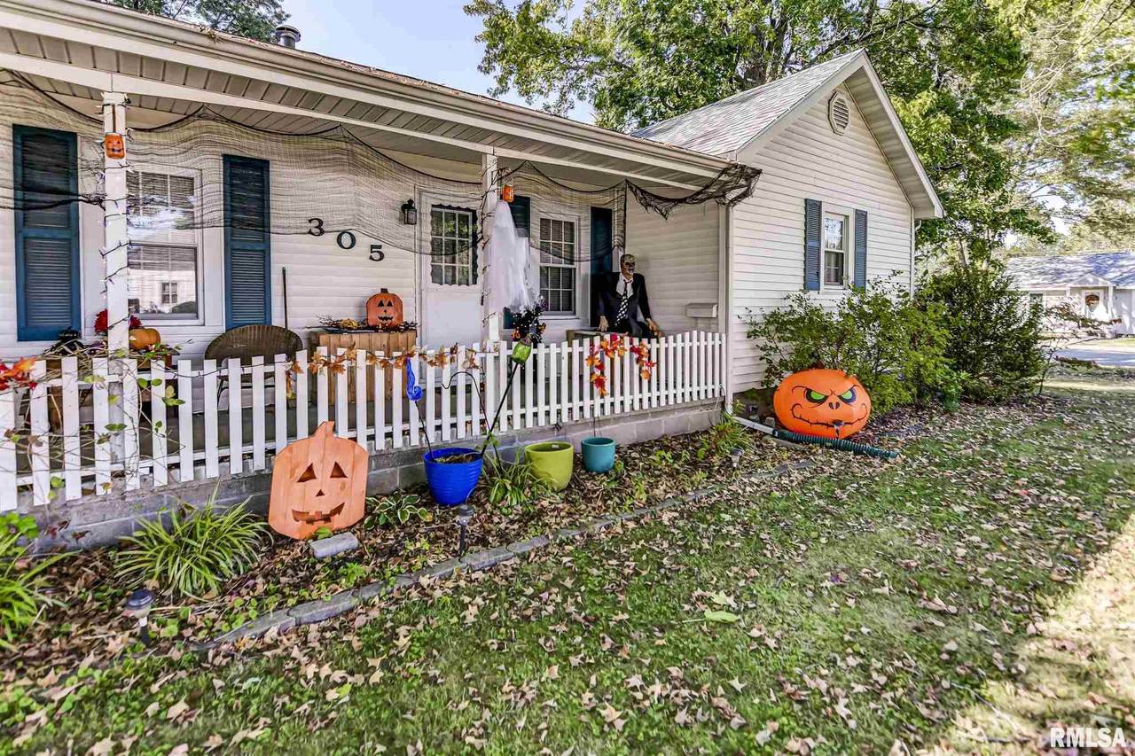 305 Cheney Street - Photo 1