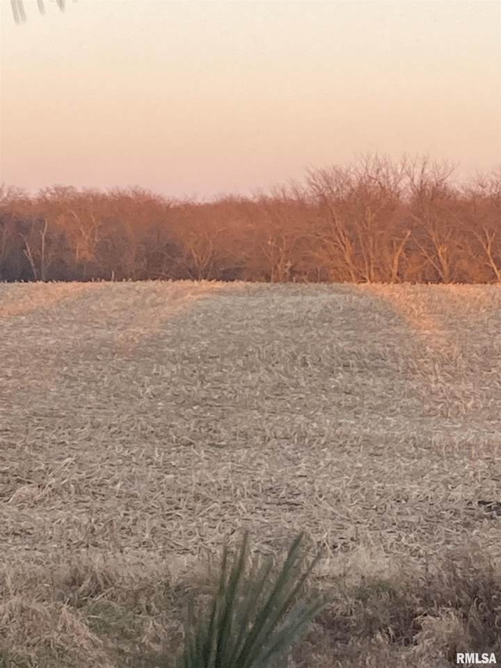 1700 1700 E County Road - Photo 1
