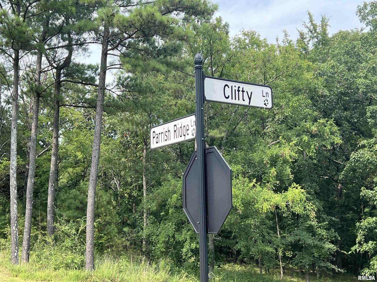 LOT 333 Clifty Lane - Photo 1