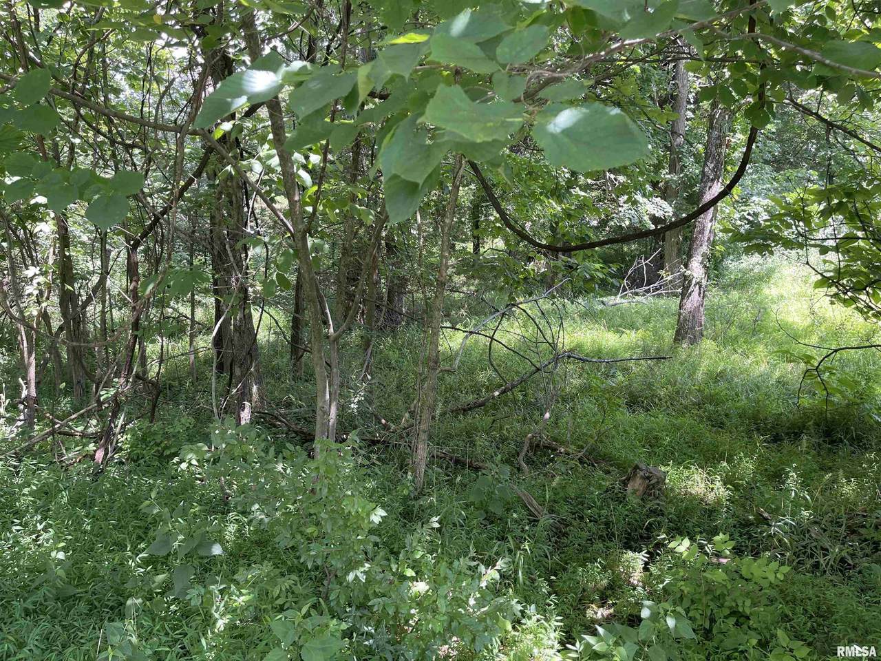 Lot 246 Mark Drive - Photo 1