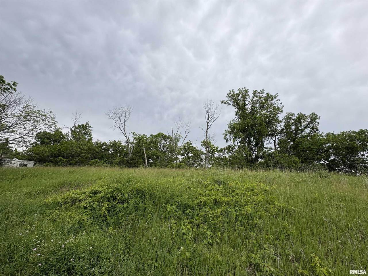 Lot 20 Deer Bluffs Drive - Photo 1
