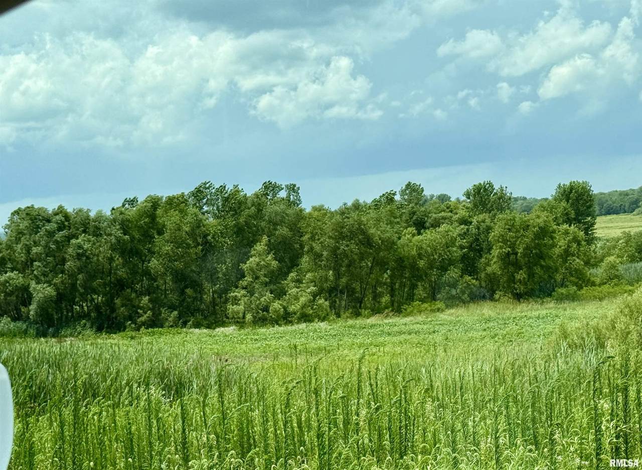 https://bt-photos.global.ssl.fastly.net/peoria/1280_boomver_1_PA1264887-1.jpg