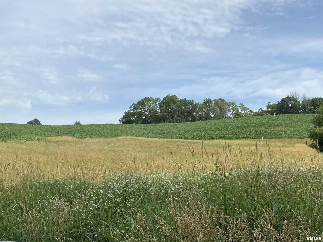 Lot 1 Telegraph Road - Photo 1