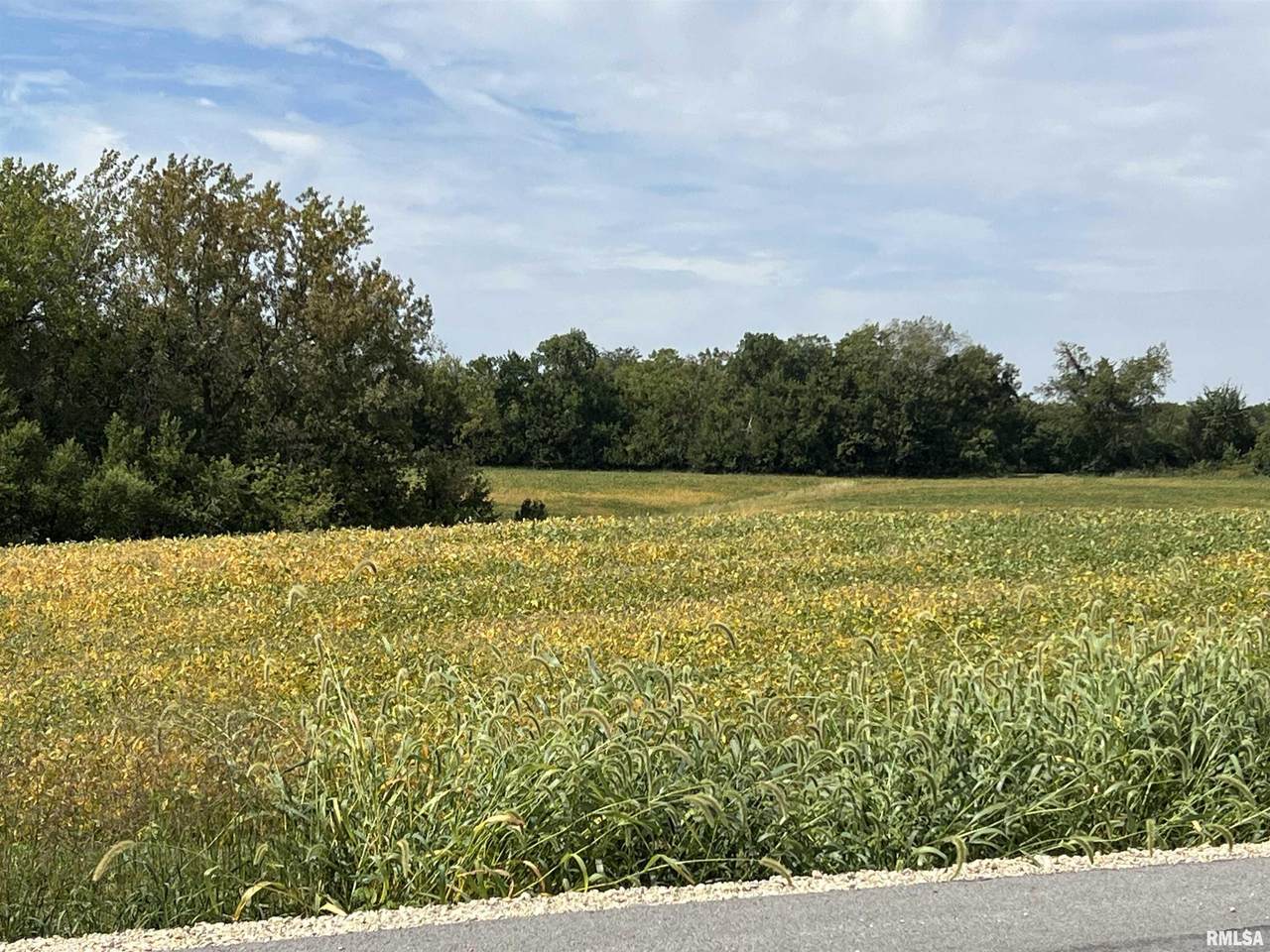 00 Wells Ferry Road - Photo 1