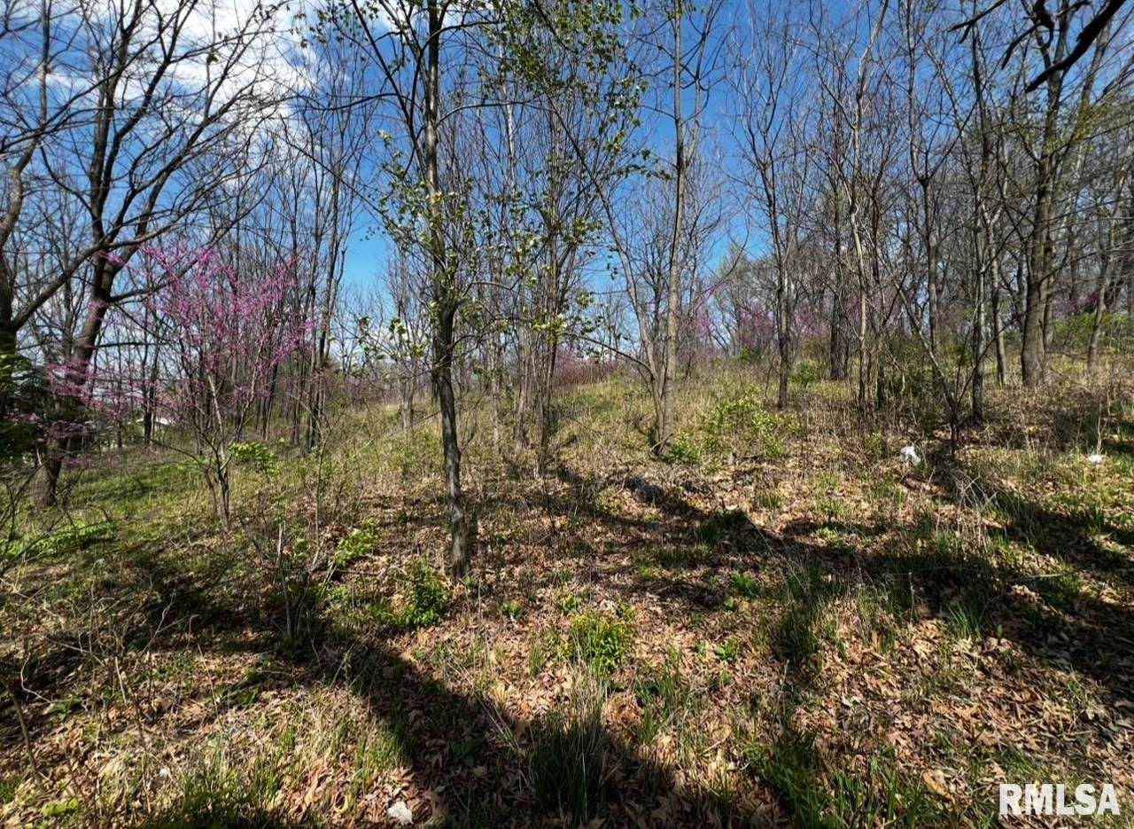 LOT 201 James Street - Photo 1