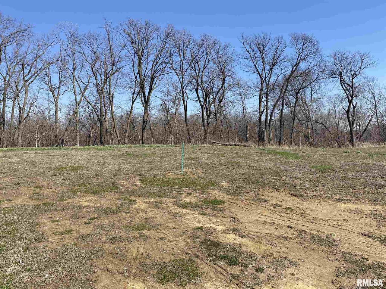 720 Mineral Creek Drive - Photo 1