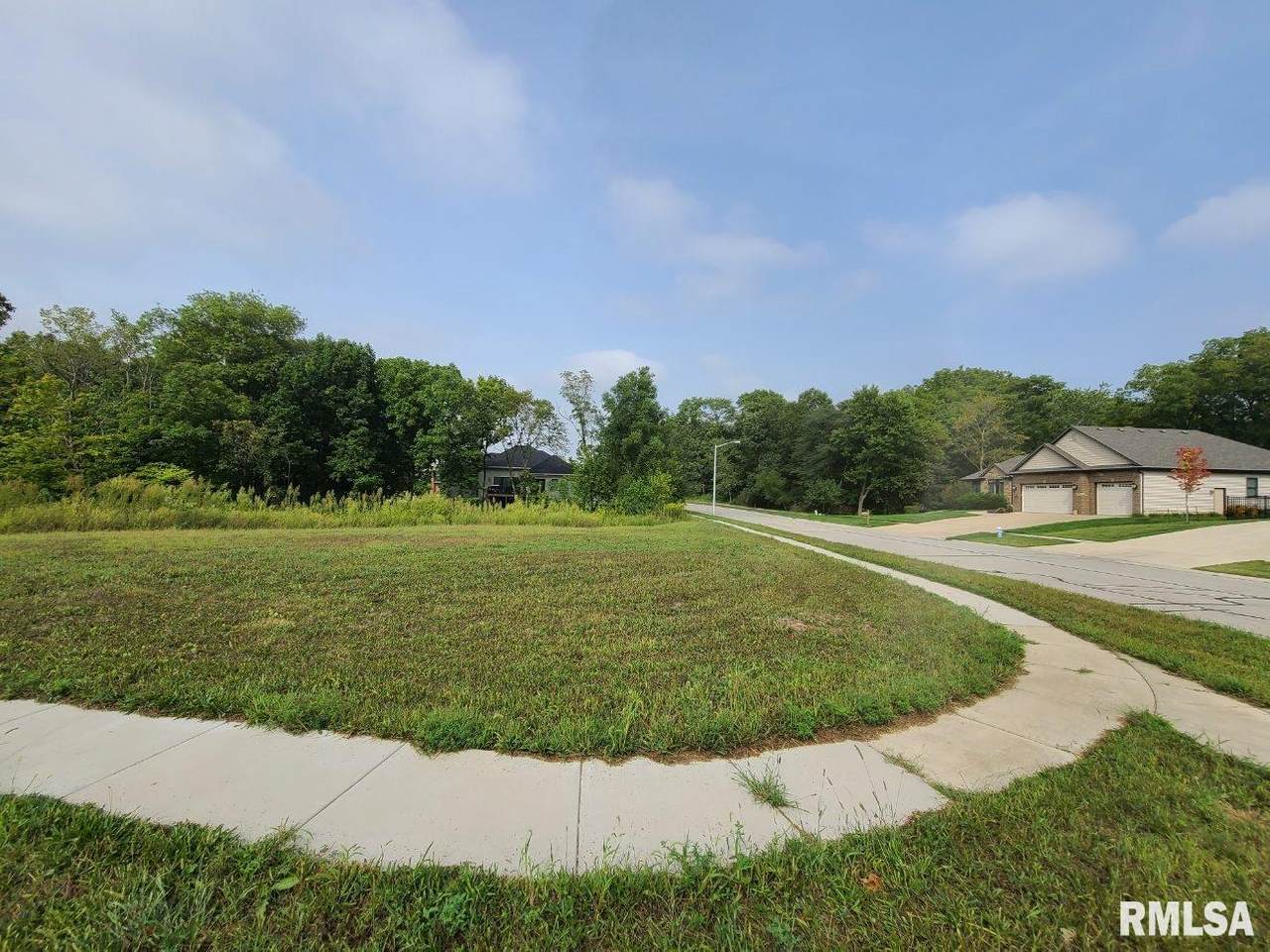 3833 Calla Lily Lane - Photo 1