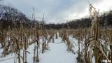 00 2080 N County Road - Photo 15