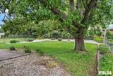 18 Terry Drive - Photo 31