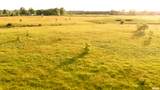 000 Bartholomew Lane - Photo 11
