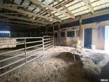 10898 Regency Road - Photo 19