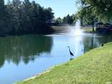 2800 Via Rosso Street - Photo 49