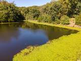 27234 State Highway Z Highway - Photo 32