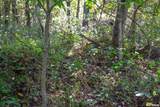 27234 State Highway Z Highway - Photo 36