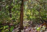 27234 State Highway Z Highway - Photo 41