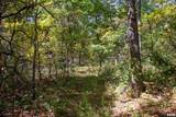 27234 State Highway Z Highway - Photo 42
