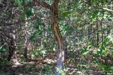 27234 State Highway Z Highway - Photo 44