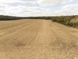 0000 Knox Road - Photo 5