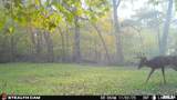 00 Eldred Road - Photo 59