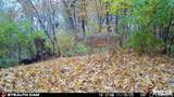 00 Eldred Road - Photo 60