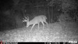 00 Eldred Road - Photo 61
