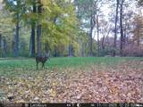 00 Eldred Road - Photo 64