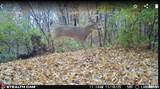 00 Eldred Road - Photo 65