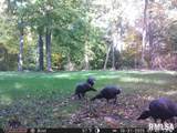 00 Eldred Road - Photo 66