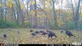 00 Eldred Road - Photo 68