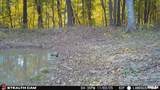 00 Eldred Road - Photo 69