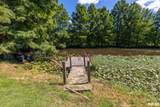 575 Wildcat Bluff Road - Photo 44