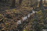 897 1300 E Road - Photo 39