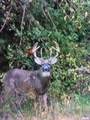 897 1300 E Road - Photo 67