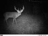 897 1300 E Road - Photo 71