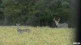 897 1300 E Road - Photo 73