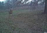 897 1300 E Road - Photo 74