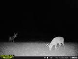 897 1300 E Road - Photo 79