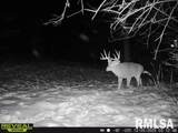 897 1300 E Road - Photo 80