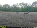 897 1300 E Road - Photo 82