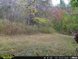 897 1300 E Road - Photo 83