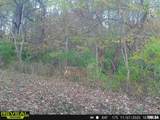 897 1300 E Road - Photo 86