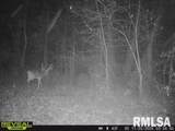 897 1300 E Road - Photo 88