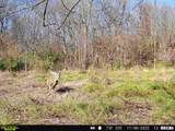 897 1300 E Road - Photo 89
