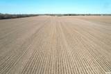  Buckhart Road - Photo 9