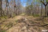 5504 Marion Road - Photo 40