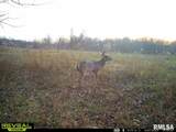 000 Goodman Pond Road - Photo 2